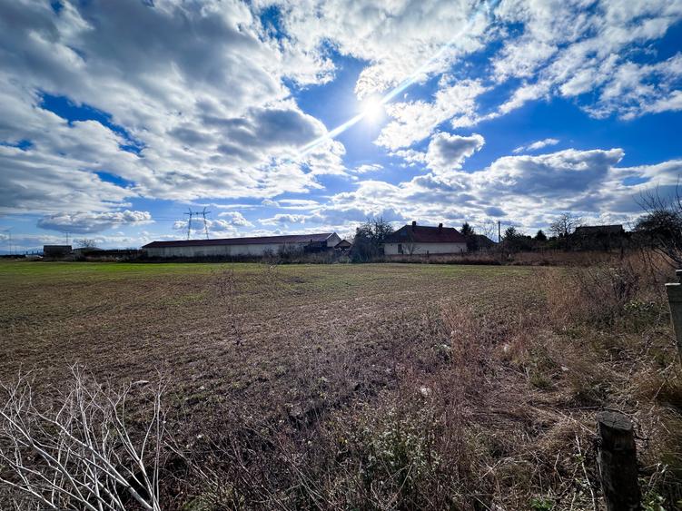 Teren agricol intravilan de 5000 mp, în Hălchiu