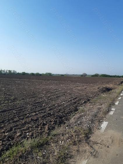 Teren de 4850 mp, în Dobreni