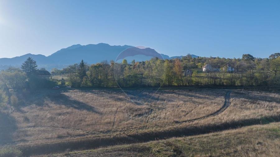Teren Construcții intravilan de 4000 mp, în Bran
