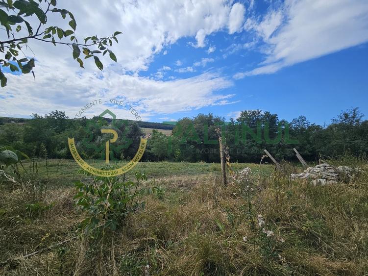 Teren agricol intravilan de 2617 mp, în Loamneș