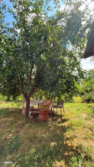 Casă cu 3 camere în Dor Mărunt
