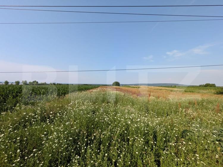Teren Construcții intravilan de 3000 mp, în Comișani