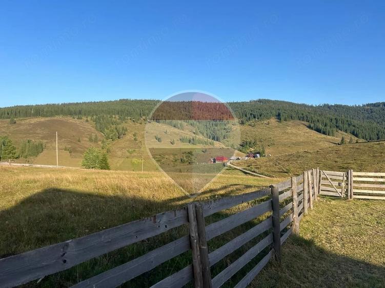Teren de 4914 mp, în Giurcuța de Sus