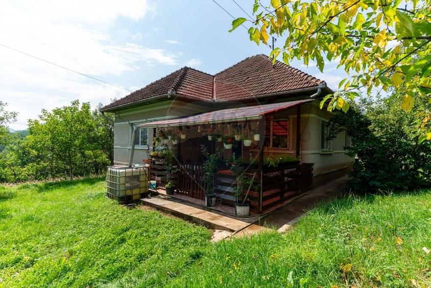 Casă individuală cu 3 camere cu Teren 9995 Mp în Ormindea