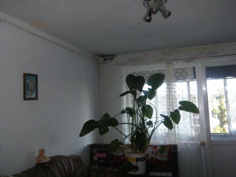 Vanzare apartament - 2