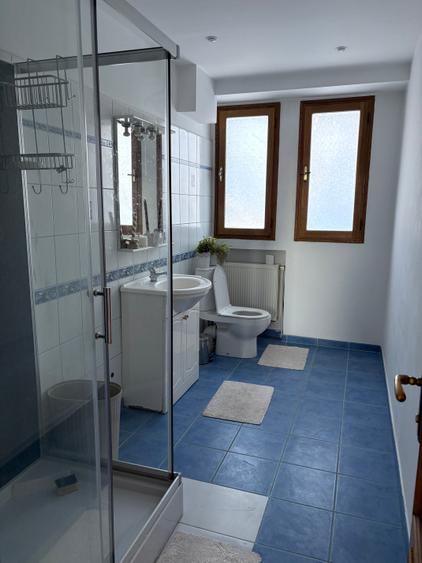 Apartament cu 3 camere decomandat, mobilat în Magheru