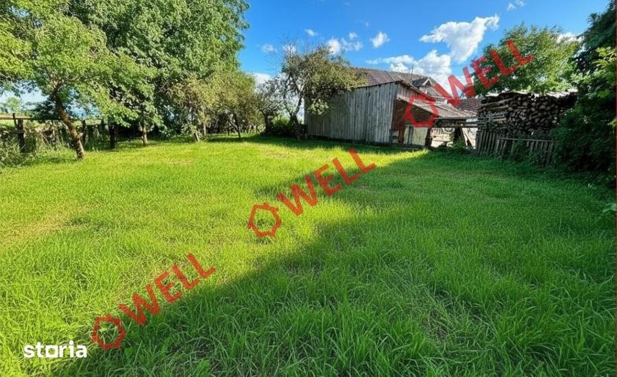 Casă cu Teren 8000 Mp în Cernat