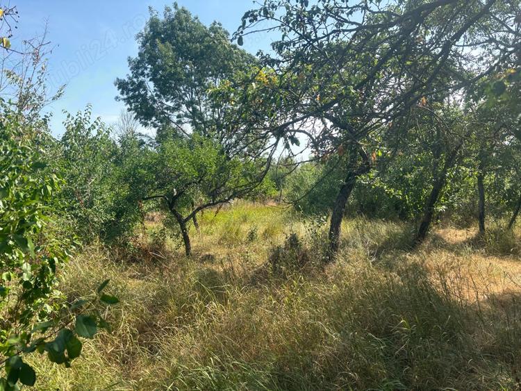 Teren de 2395 mp, în Central