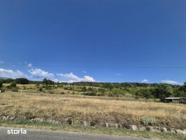 Teren de 13000 mp, în Runcu