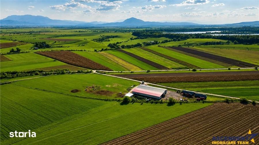 Teren de 18000 mp, în Feldioara