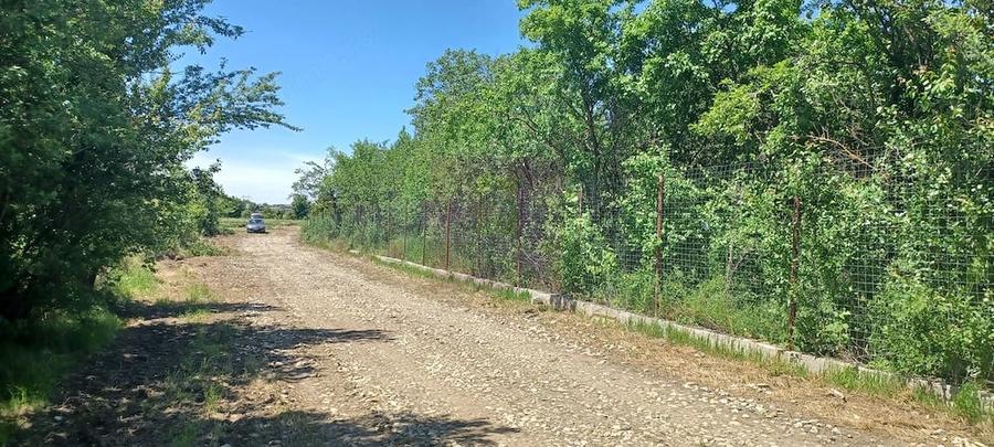 Teren de 500 mp, în Săbăreni