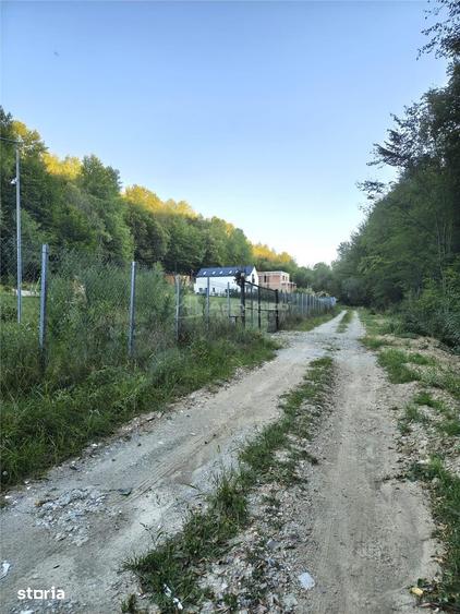 Teren intravilan de vanzare in padure Cisnadioara - 13