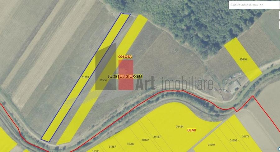 Giurgiu Teren Intravilan Padure Joita - 1