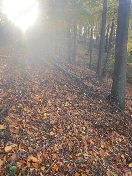 Teren de 20000 mp, în Gheorghe Doja