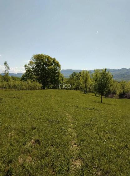 Teren 8500mp langa Calimanesti