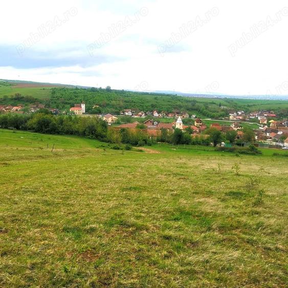 Teren de 3000 mp, în Central