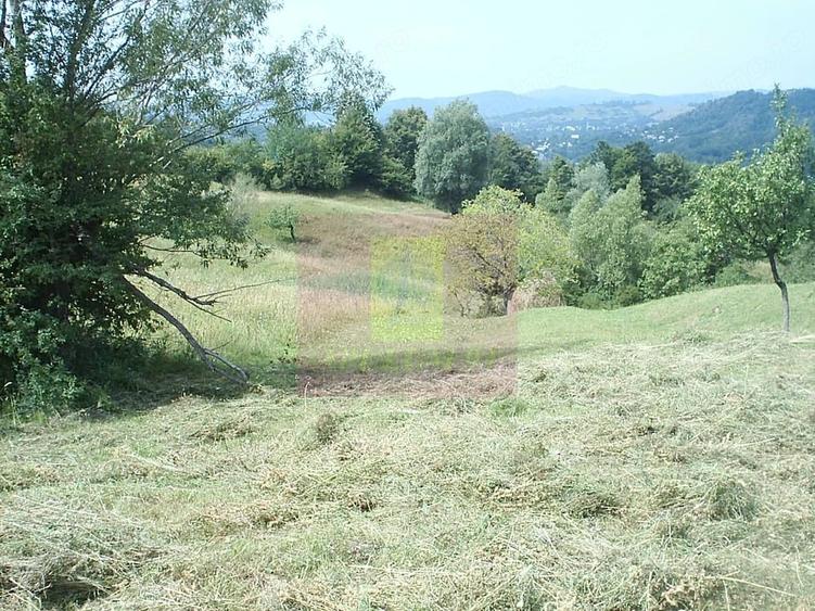 Teren de 4404 mp, în Telega
