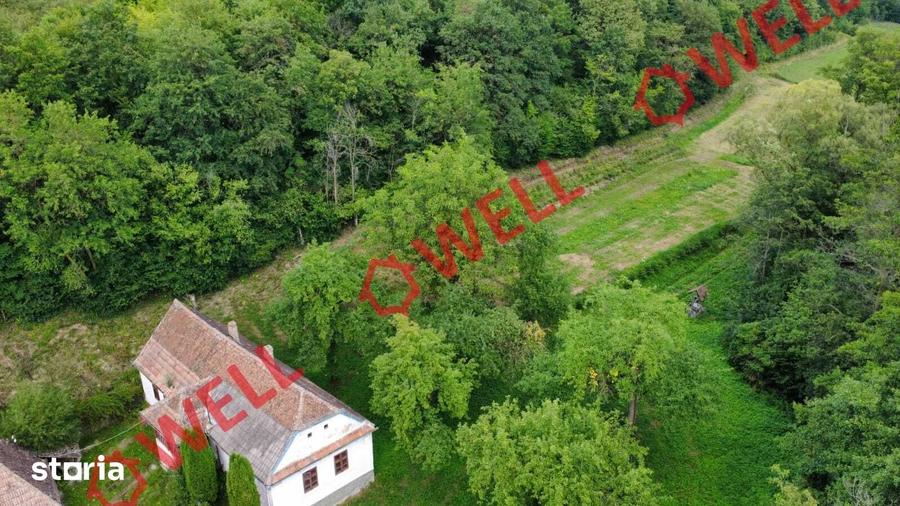 Casă cu 4 camere cu Teren 7618 Mp în Belin