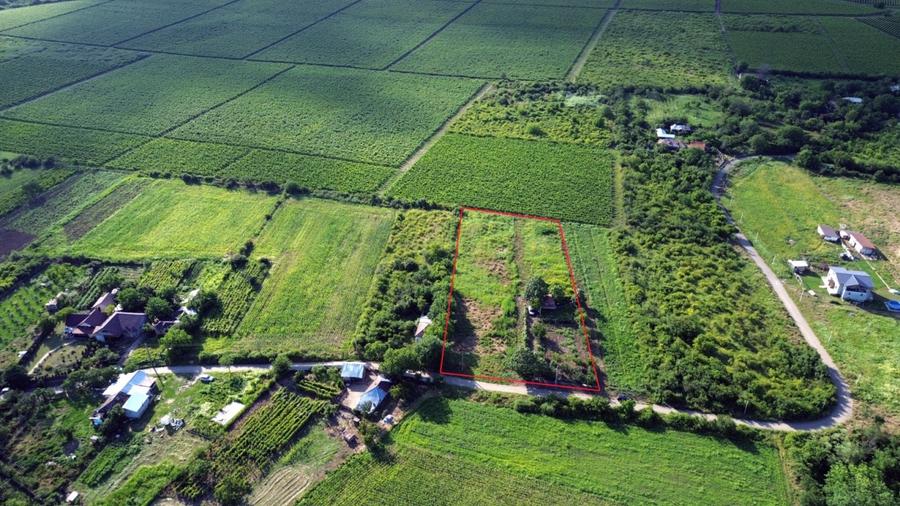 Teren Construcții intravilan de 5555 mp, în Urlați