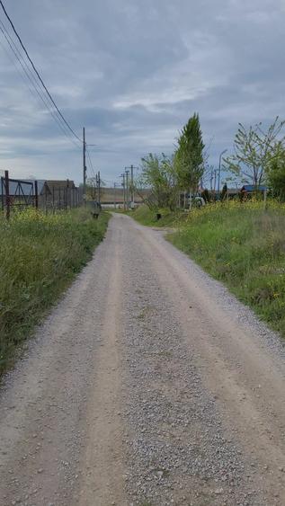 Teren de 1750 mp, în Murighiol