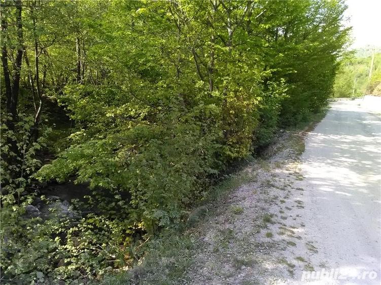 Teren de 5500 mp, în Pietroasa