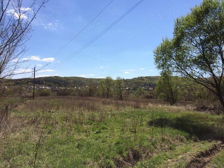 Proprietar,Teren Valea Ursului la 5km de Pitesti - 3