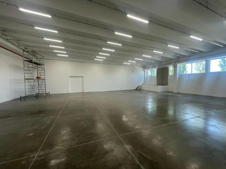 Spațiu industrial, de 425 mp, în Freidorf