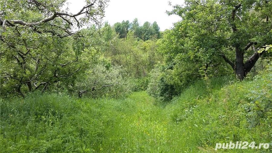 Teren de 20000 mp, în Gura Bărbulețului