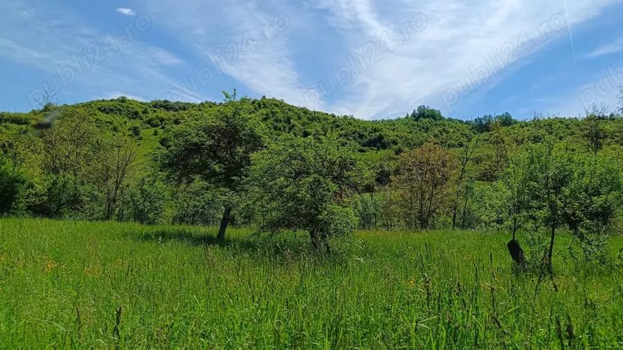 Teren de 2276 mp, în Drăgăneasa