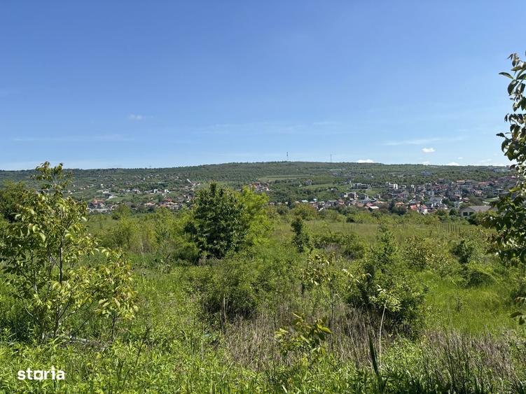 Tere intravilan Str Odobesti/Puz - 4