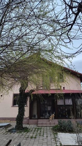 Casă cu 3 camere cu Teren 500 Mp în Central