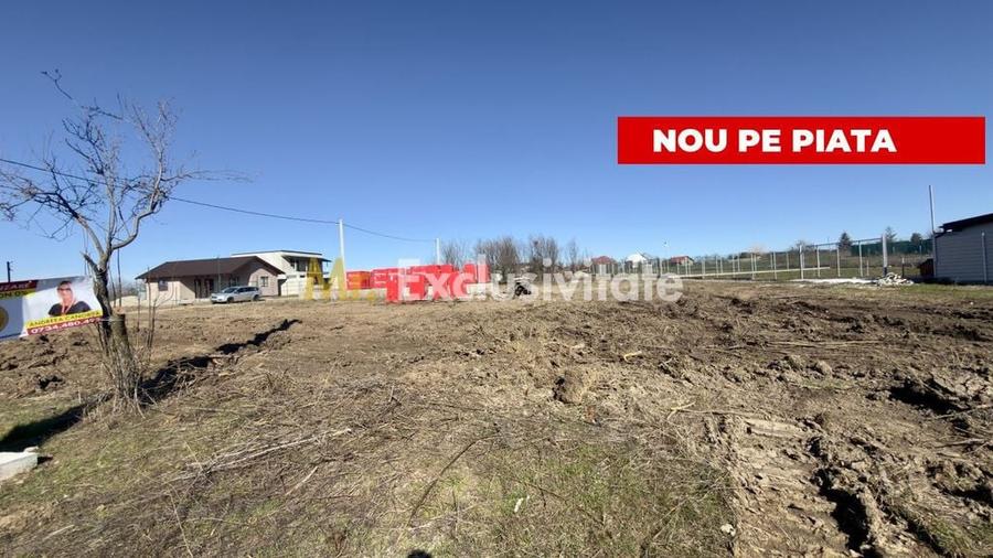 Teren de 533 mp, în Albota