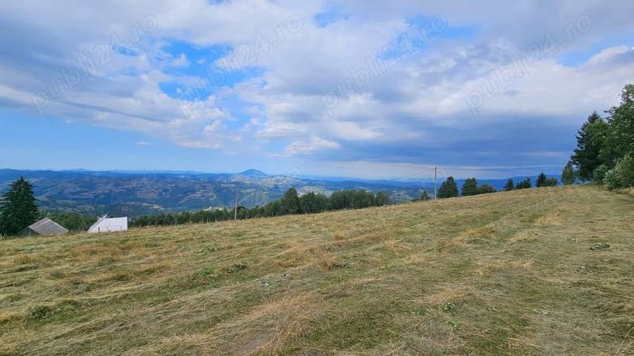 Teren în Poiana Mărului