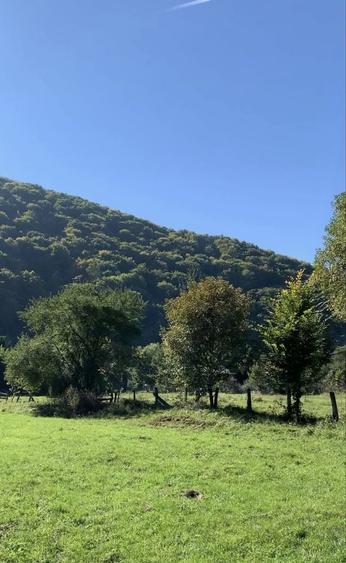 Teren de 1190 mp, în Someșu Rece