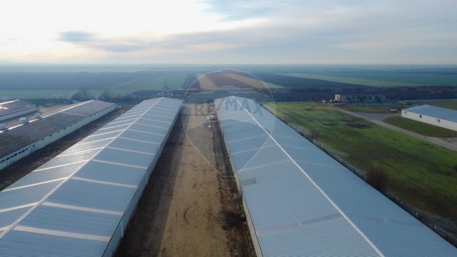 Spațiu industrial, de 5,050 mp, în Palota