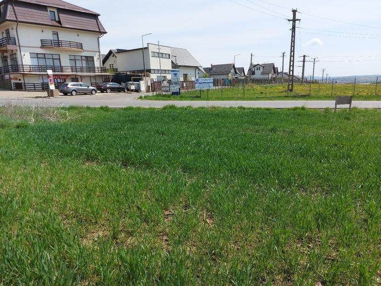 Teren agricol intravilan de 4000 mp, în Sfântu Ilie