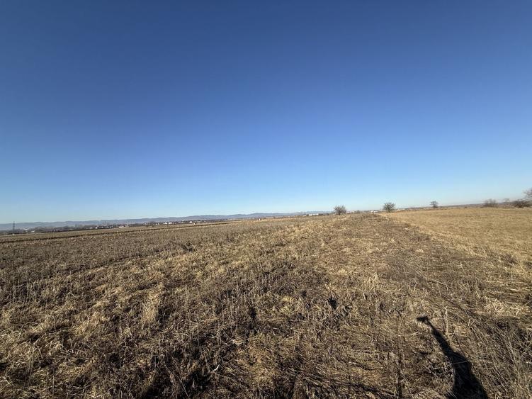 Teren agricol extravilan de 2300 mp, în Est