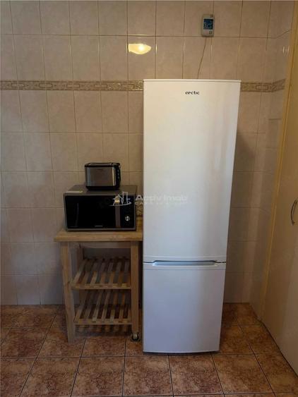 2 camere Viorele - Timpuri Noi - Tineretului - 3