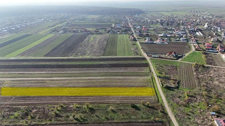 Teren de 10000 mp, în Gulia