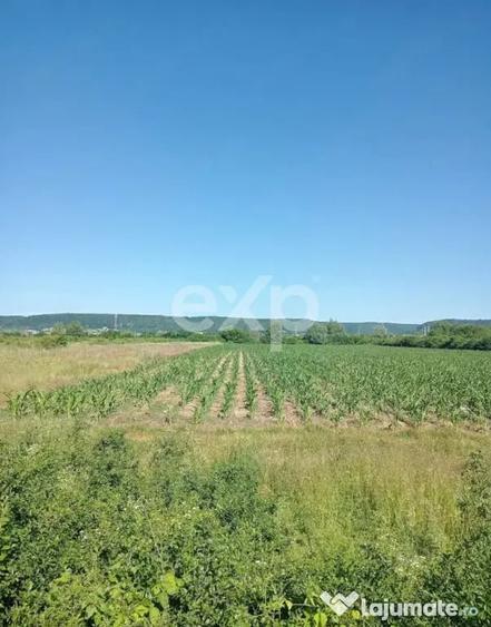 Teren în Exterior Sud