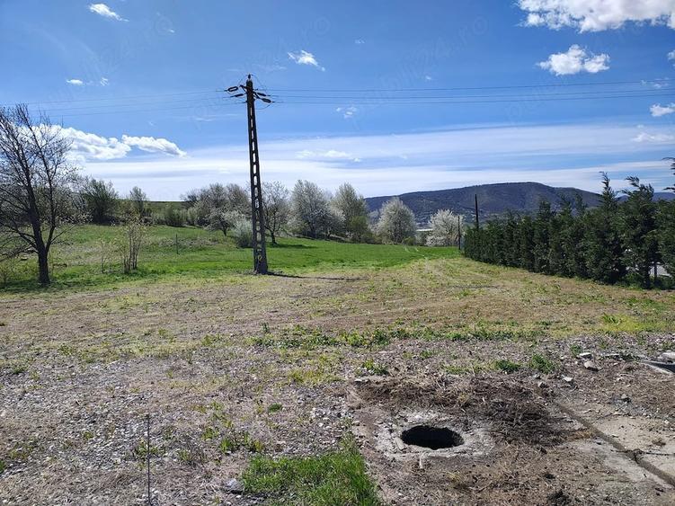 Teren de 3100 mp, în Moldovenești