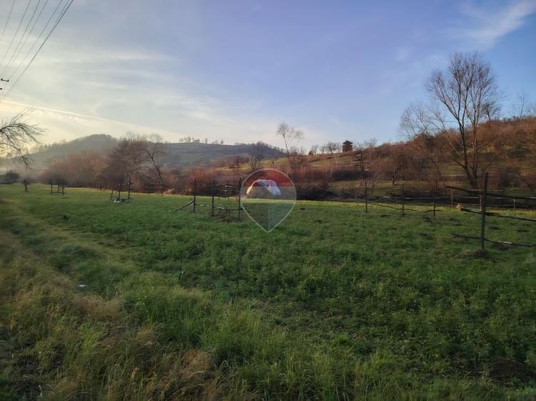 Teren Construcții intravilan de 2619 mp, în Bârsana