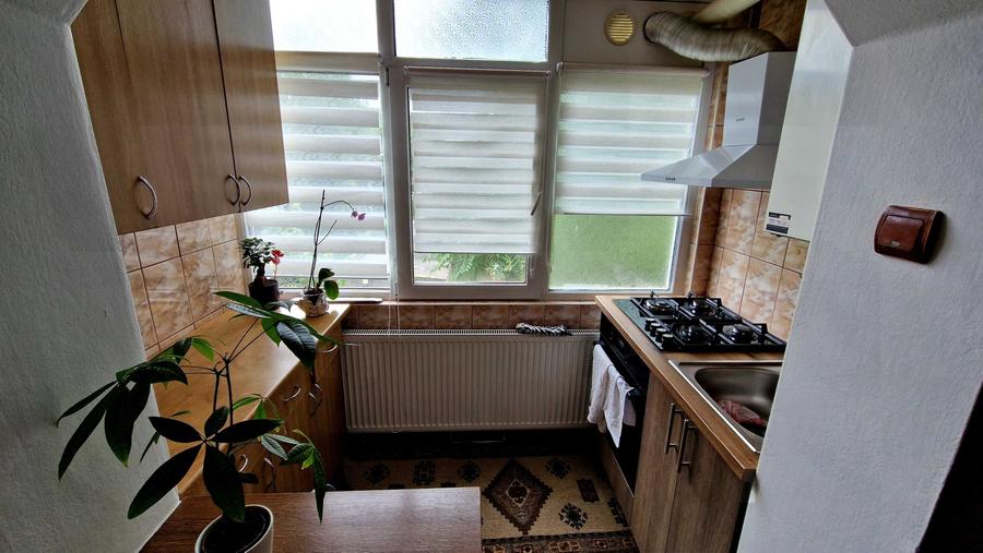 Apartament cu 2 camere decomandat în Lipovei