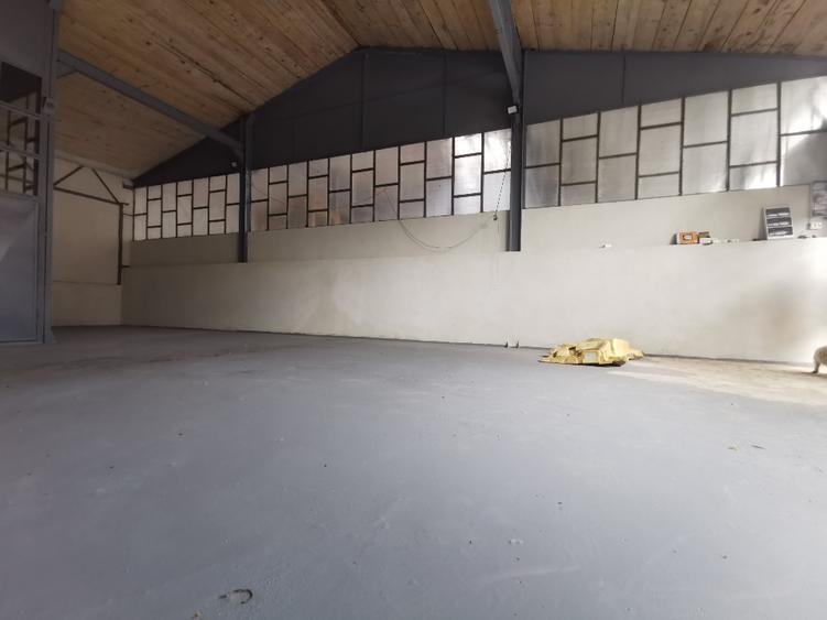 Spațiu industrial, 100 mp în Orzoaia de Jos