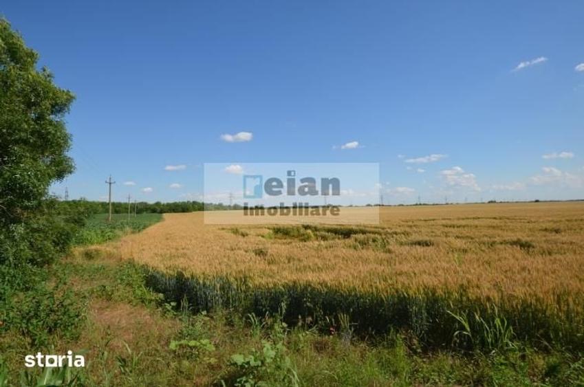 Teren de 28500 mp, în Movilița