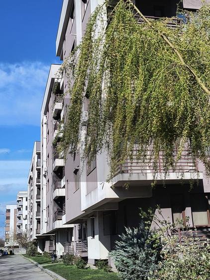 Apartament 2 camere Gama Residence-Popesti Leordeni - 11