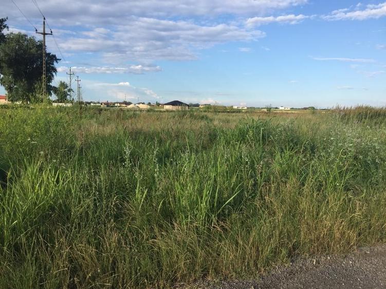 Teren Construcții intravilan de 800 mp, în Țegheș
