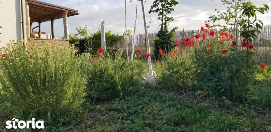 Casă cu 3 camere cu Teren 110 Mp în Tărtășești