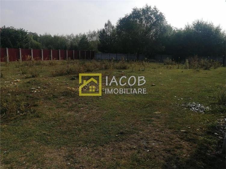 Teren Construcții intravilan de 993 mp, în Șerbănești