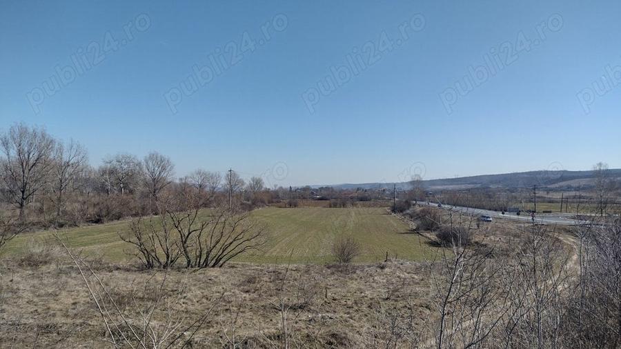 Teren de 20000 mp, în Valea Ursului (Tâmna)